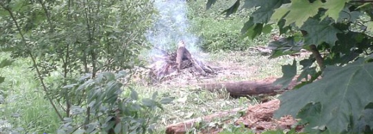 Суд перенесли, но процесс идет!