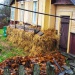 Соседи утеплили фундамент соломой