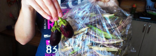 Мой урожай — 2013