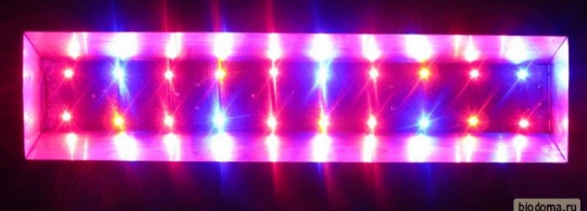 Лампа для растений — теперь и на моей кухне