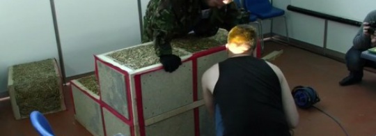 Экокуб: запатентованная технология соломенного строительства