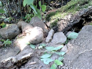 Все осложняют вот такие камушки