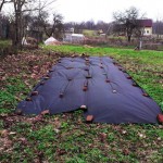 Черный спанбонд на огороде